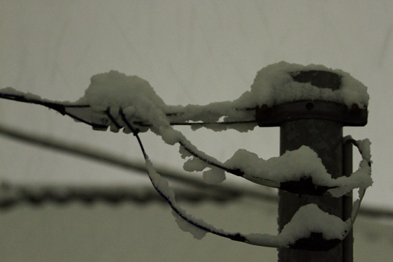 電柱　積雪